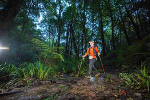 BIB: 
                            <button type="button" onclick="openModal(19241937)" class="btn btn-primary btn-sm float-right btn-popup" data-toggle="modal" data-target=".modal-high-quality">
                        <i class="fas fa-shopping-cart"></i> Add to Cart
                    </button>
                                            <button type="button" onclick="isThisMe(19241937, true)" class="btn btn-success btn-sm float-right btn-popup btn-isme hidden" data-toggle="tooltip" data-placement="bottom" title="นี่คือรูปของคุณใช่ไหม คลิกที่นี่เพื่อเอาเข้าอัลบั้ม">
                        <i class="fas fa-plus"></i> Add to album
                    </button>
                    <button type="button" onclick="isThisMe(19241937, false)" class="btn btn-warning btn-sm float-right btn-popup btn-isnotme hidden">
                        <i class="fas fa-ban"></i> Remove from album
                    </button>